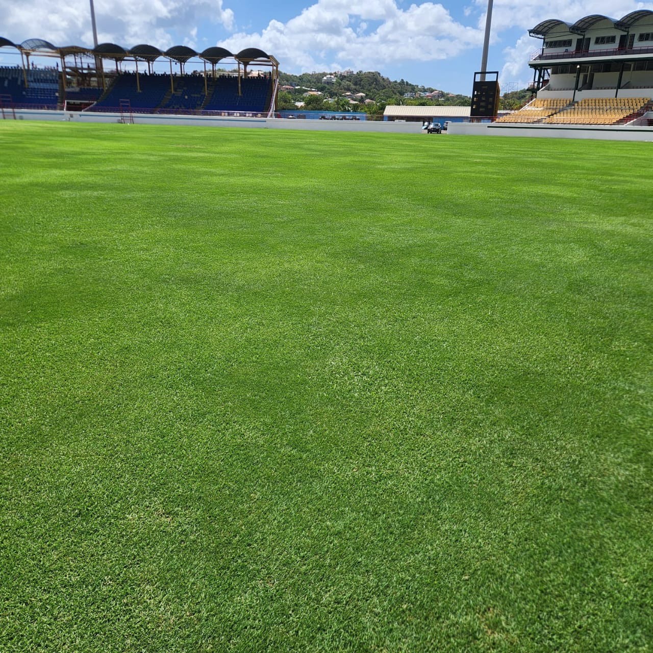 Close-up of premium turf care at Darren Sammy Cricket Grounds in Saint Lucia maintained by Turf Pro Landscaping.