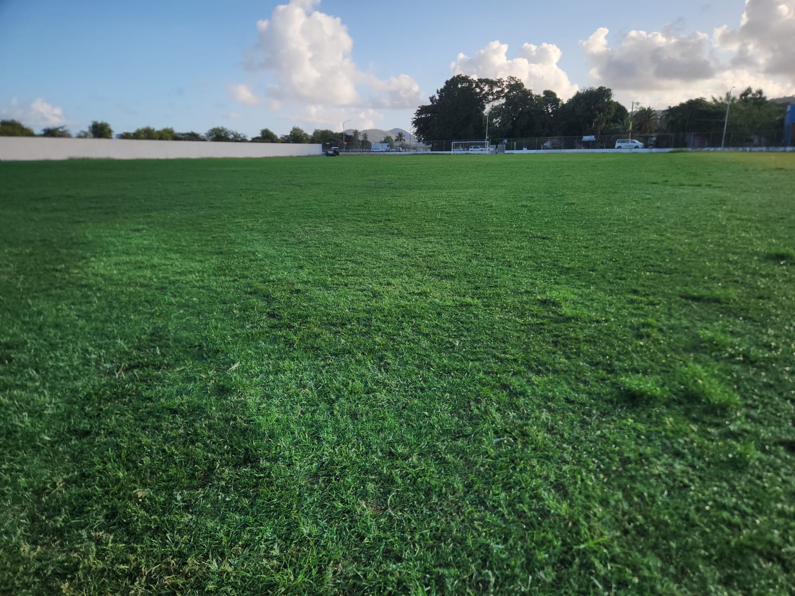 Close-up of Vigie Sports Field turf in Saint Lucia maintained by Turf Pro Landscaping for resilient playing surfaces.